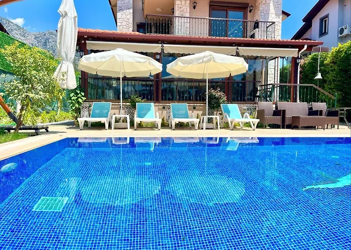 Vila Centrally Located Very Large W Pool Jakuz And Car Park